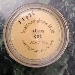 Bare Minerals eye color in Alley Cat